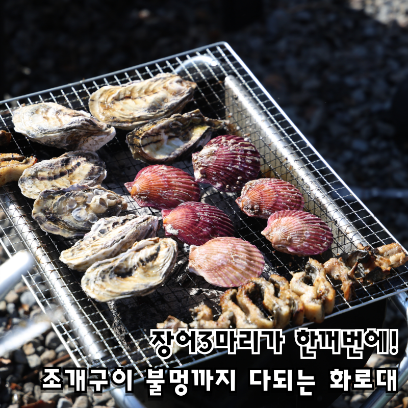 2. 실패 없는 밥그릴 선택 기준 3가지